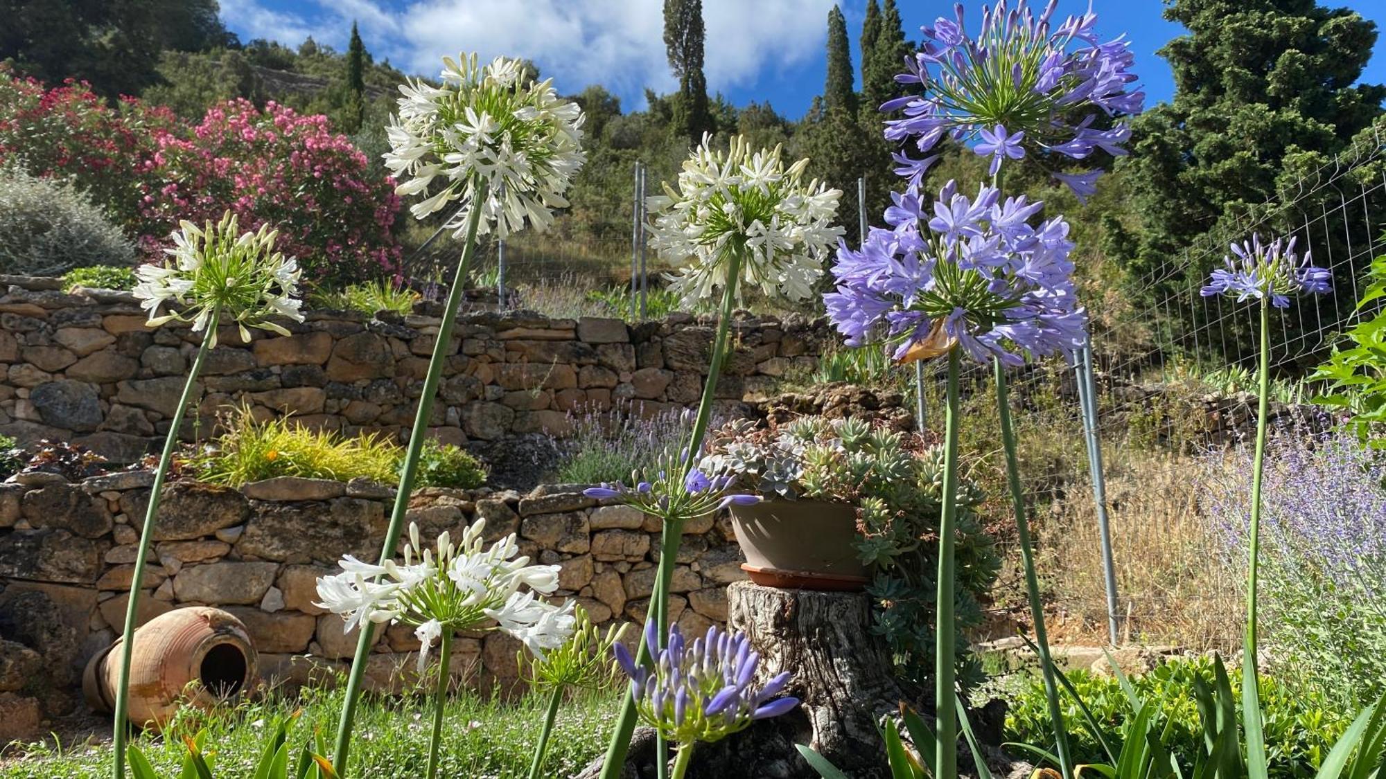 Apartamentos Casa Lola Rodeados De Montanas Y Rios بيسييت المظهر الخارجي الصورة